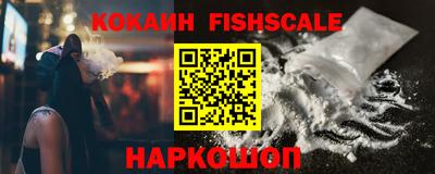 крисы Камышлов