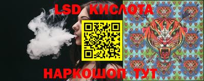 ECSTASY Канаш