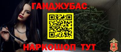 крисы Камышлов