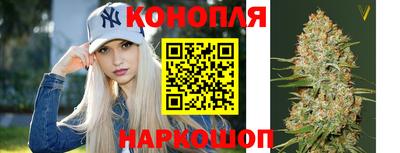 крисы Камышлов