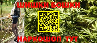 крисы Камышлов