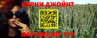 крисы Камышлов