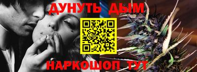 крисы Камышлов