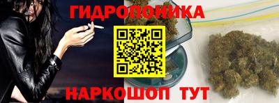 крисы Камышлов