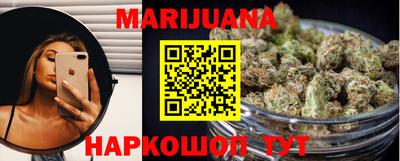 крисы Камышлов