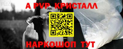 крисы Камышлов