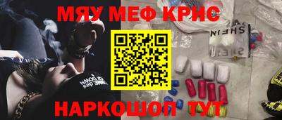 крисы Камышлов