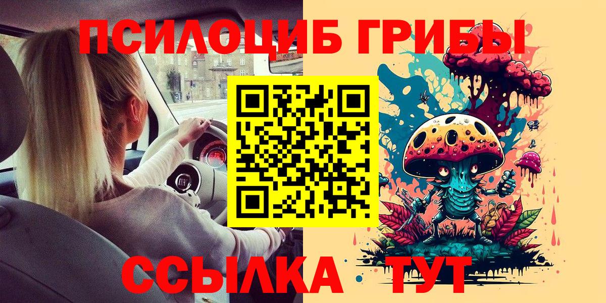 Курчатов  Псилоцибиновые грибы Magic Shrooms  Галлюциногенные грибы ЛСД  хочу   Вход с VPN 